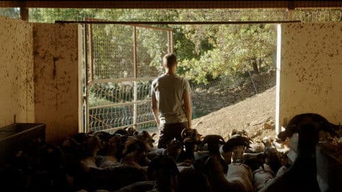 Hijos de Mayo Bild 1