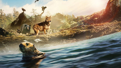 Die Insel der Küstenwölfe Bild 7