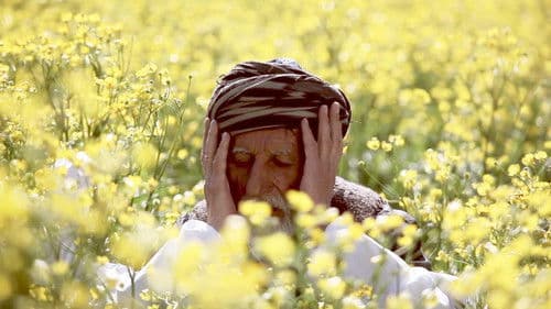 ماڵاوا ئانالۆگ Bild 3