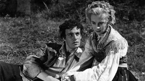 Driver dagg faller regn Bild 4