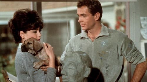 Geliebter Haustyrann Bild 6