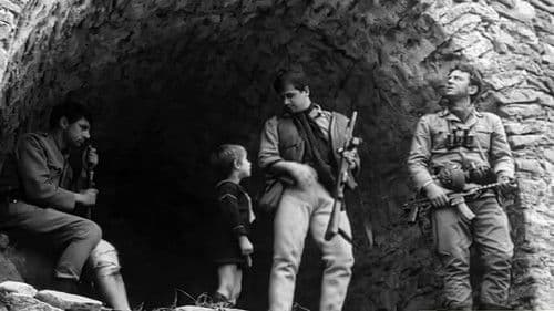 Zwariowana noc Bild 6