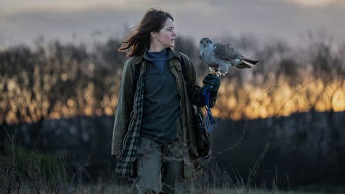 H Is for Hawk Bild 4