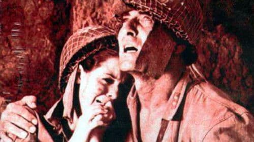 Guerillas in Pink Lace Bild 1