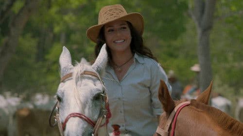 Destinos Opostos Bild 3