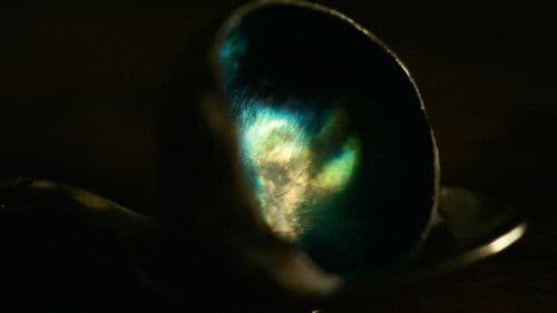 The Human Hibernation Bild 7