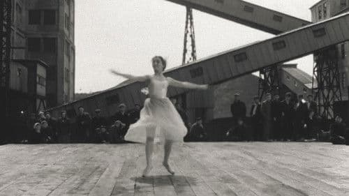 Die Steinblume Bild 7