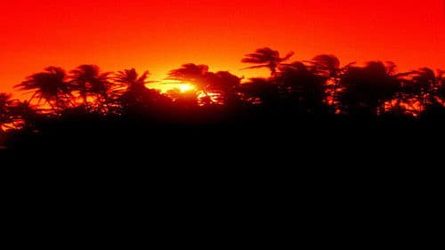 The Making of 'Jurassic Park' Bild 1