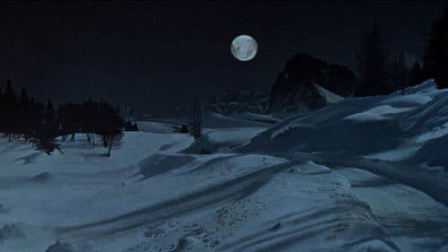 Tanz der Vampire Bild 2