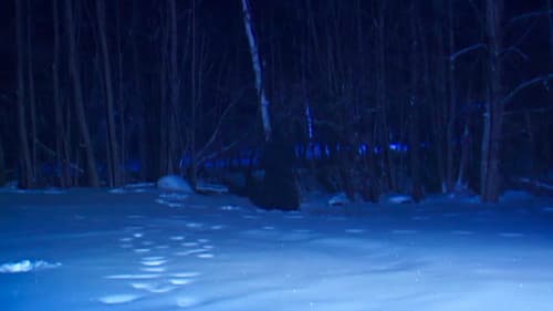 Hardcore Poisoned Eyes Bild 1