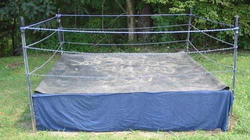 Backyard Dogs Bild 1