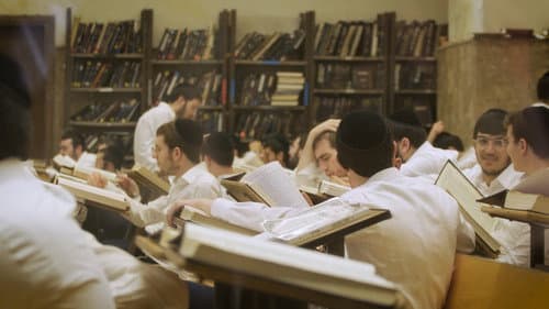 תורתו אומנותו Bild 1