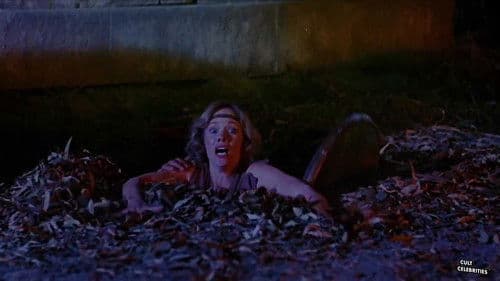 Die Mächte des Lichts Bild 3