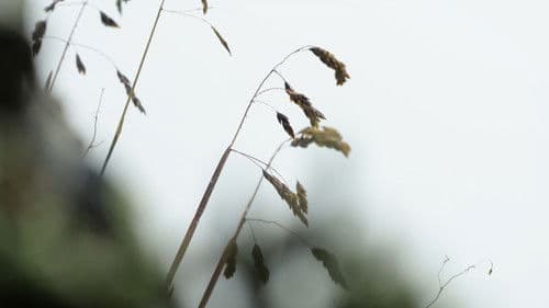 Después del Glaciar Bild 1