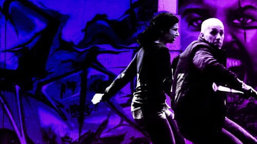 Im Auge des Wolfes Bild 5