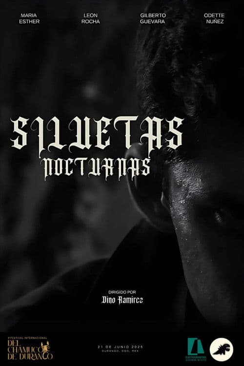 SILUETAS NOCTURNAS