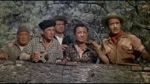 Er kam, sah und siegte Bild 4