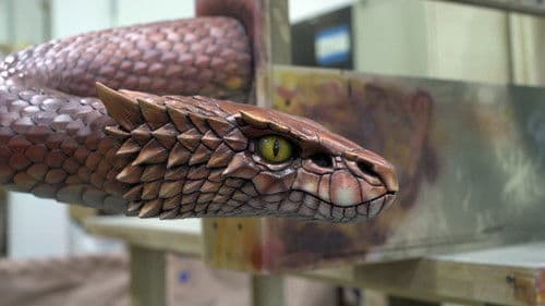 We Believe in Dinosaurs Bild 6