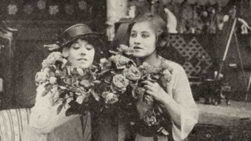 The Flash of an Emerald Bild 1