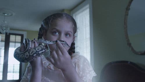 Uncle Otto's Truck Bild 6