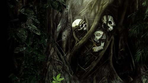 Secrets in the Jungle Bild 2