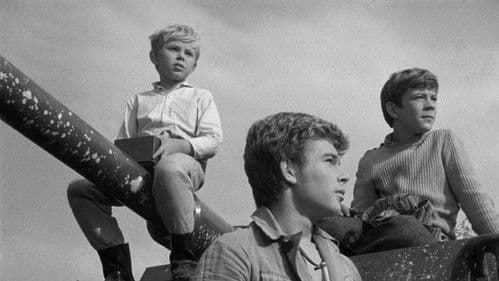 Pieseň o sivom holubovi Bild 3