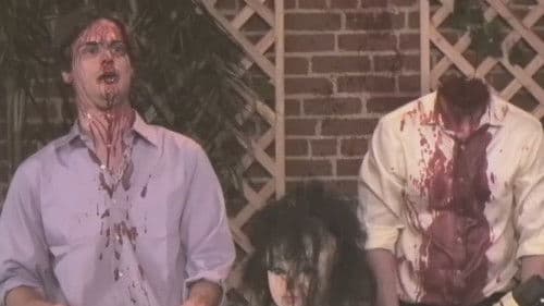 Shop from Home Bild 2