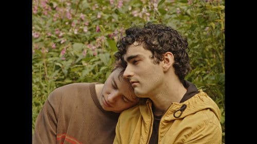 What You Need Bild 1