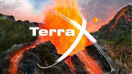 Terra X - Die Bernsteinstraße Bild 1