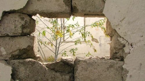 Aranzazú, un recuerdo de ruinas Bild 5