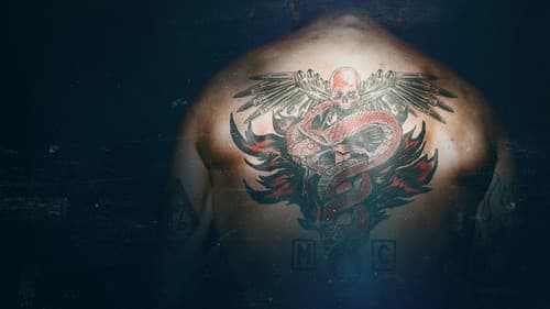 Doctor's Orders Bild 2