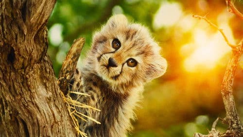 Für die Wildnis geboren Bild 2