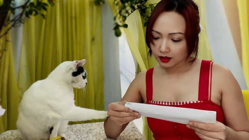 Kung Fu Ghost Bild 3