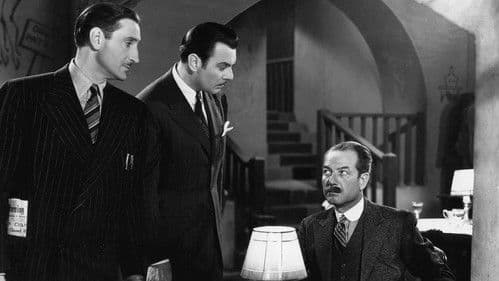 International Lady Bild 3