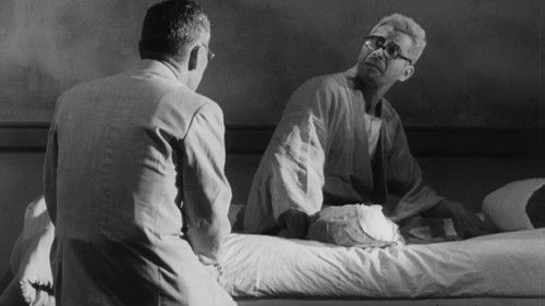 Bilanz eines Lebens Bild 4