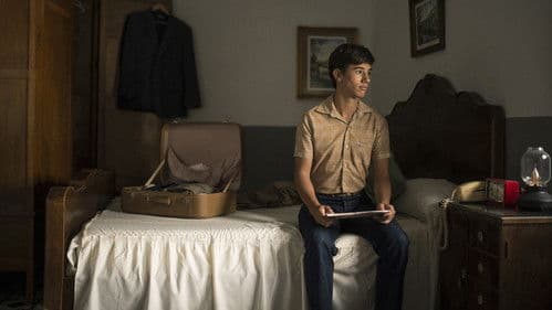 Algo salvaje: la historia de Bambino Bild 7