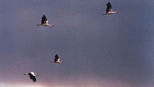 Така пізня, така тепла осінь Bild 3