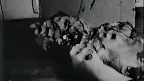 Debbie Does Damnation Bild 2