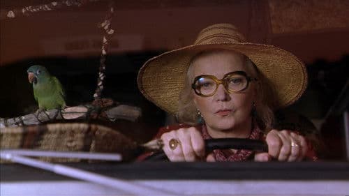 Paulie - Ein Plappermaul macht seinen Weg Bild 2