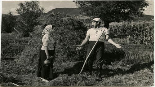 ჭიაკოკონა Bild 2