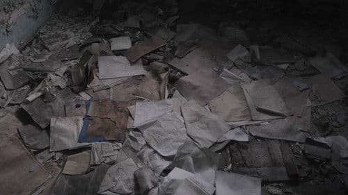 Northern Drift Bild 2