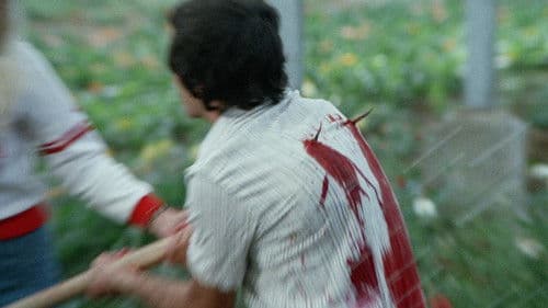 Ερωτική Υπερένταση Bild 3