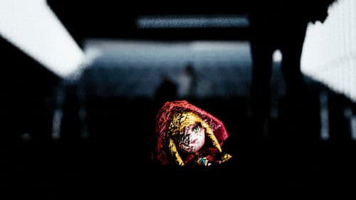 זאבה אדומה Bild 1