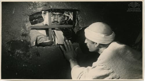 ზვიგენის კბილი Bild 1