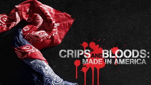 Crips and Bloods Bild 2