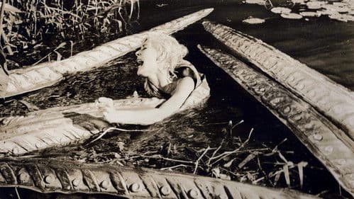 Voodoo Island Bild 1