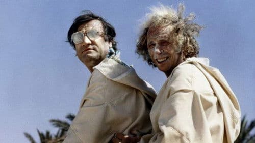 Zwei Kamele auf einem Pferd Bild 3