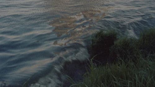 Trop tôt, trop tard Bild 5