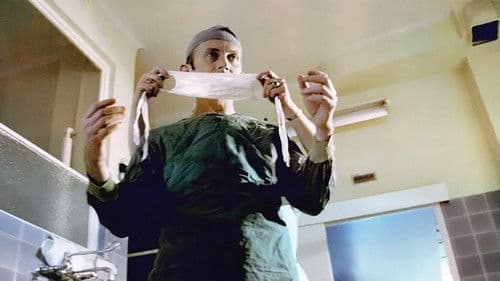 Układ krążenia Bild 2