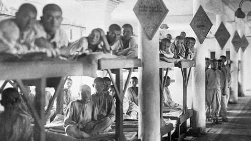 Gulag - Die sowjetische „Hauptverwaltung der Lager“ Bild 3